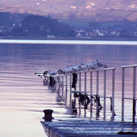 The Oystercatcher Lodge Carlingford Dış mekan fotoğraf