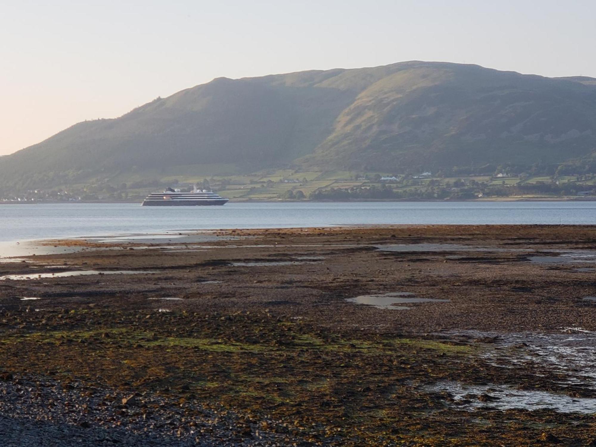 The Oystercatcher Lodge Carlingford Dış mekan fotoğraf